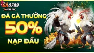 Lợi Ích Khi Tham Gia Khuyến Mãi Nạp Đầu Tại Sảnh Đá Gà