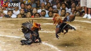 Những lưu ý quan trọng khi tham gia chương trình