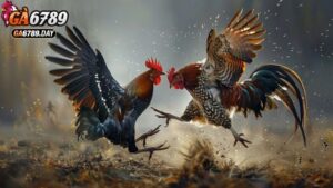 Trải Nghiệm Chơi Game Đẳng Cấp