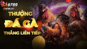 Chi Tiết Từng Chương Trình Khuyến Mãi GA6789